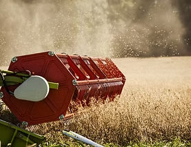 Agriculture
